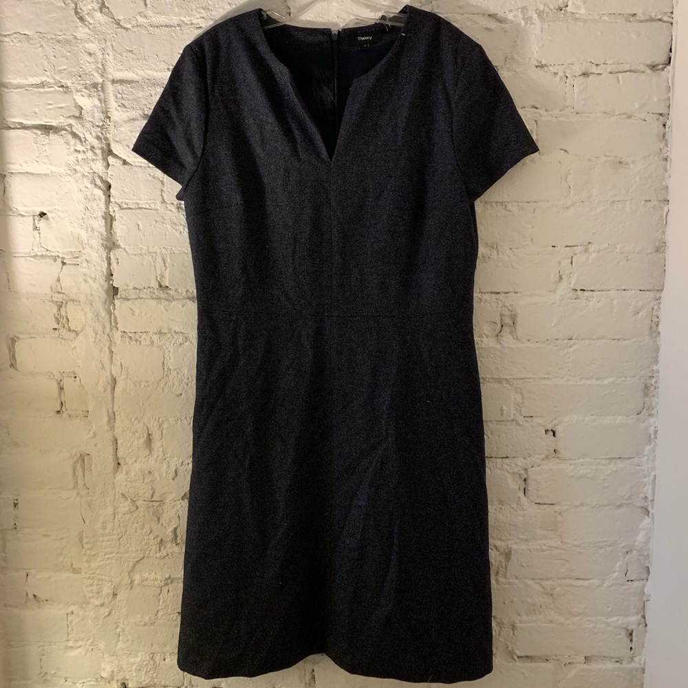 Navy Theory dress 12